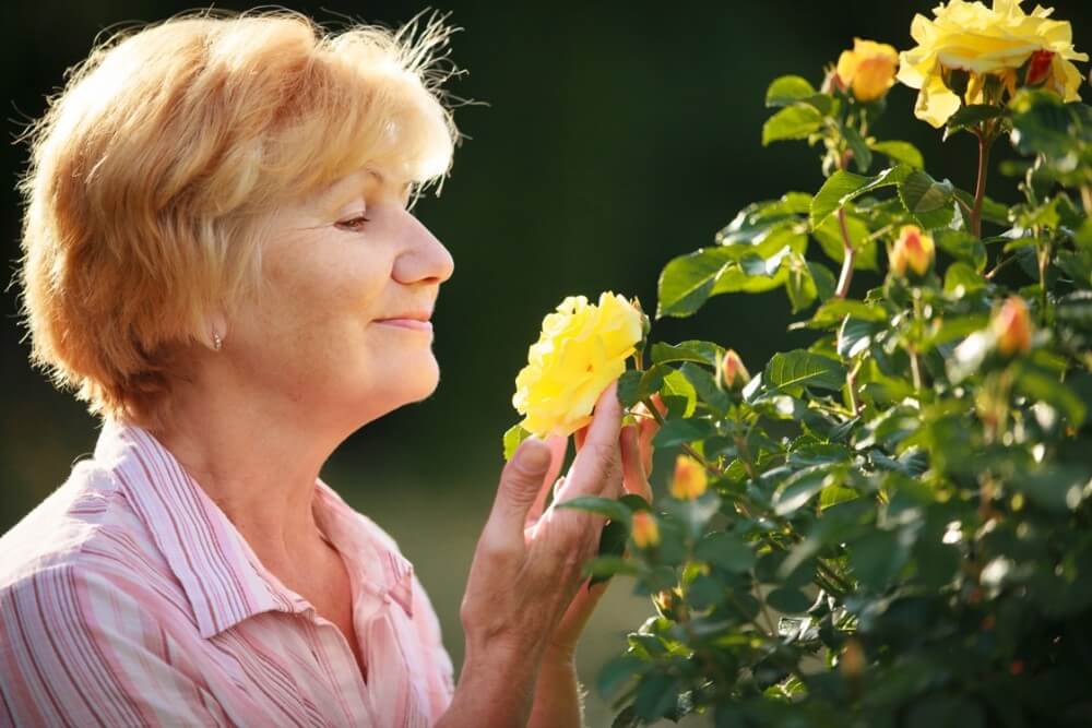 Expression. Senior Woman Model with Garden Roses. Springtime - Benefit of homeschooling Flowers