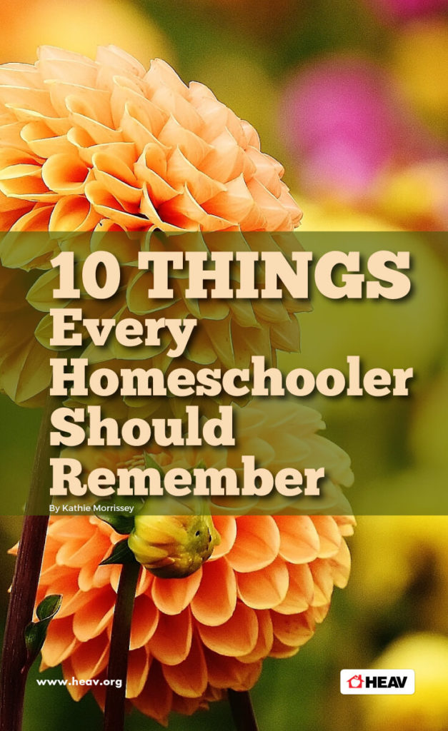 10 homeschool ideas every homeschooler should remember