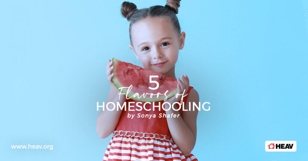 learning styles 5 flavors of homeschooling
