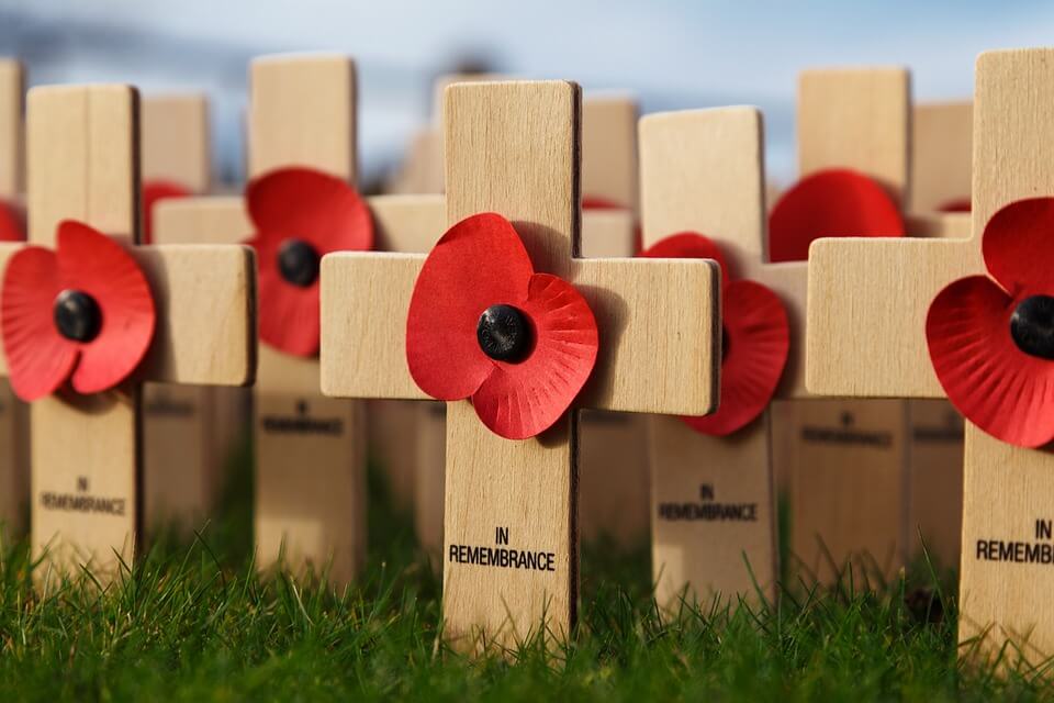 poppies and crosses- in remembrance