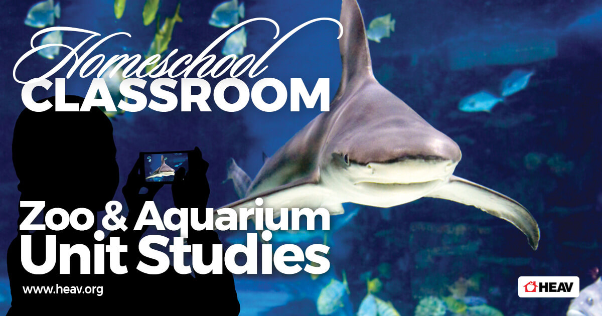 homeschool classroom-zoo & aquarium studies- shark and fish