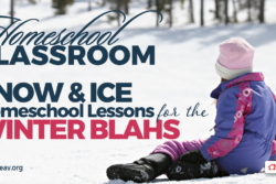 Homeschool living winter activities