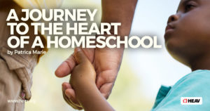 heart of a homeschool - son holding hand of father