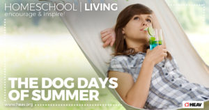 Relaxing Summer -Homeschool living - sipping drink on a hammock