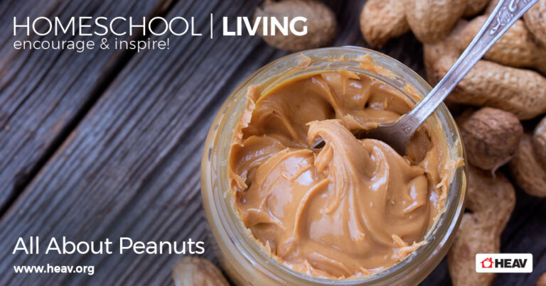 all about peanuts