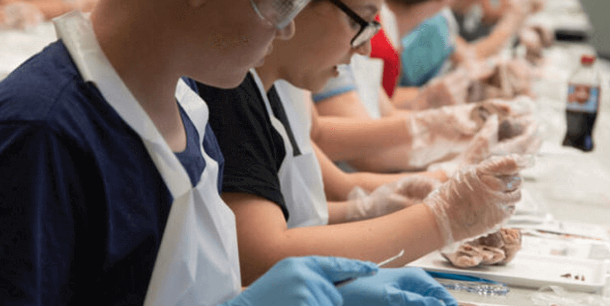 Students dissecting at Virginia homeschool convention science lab