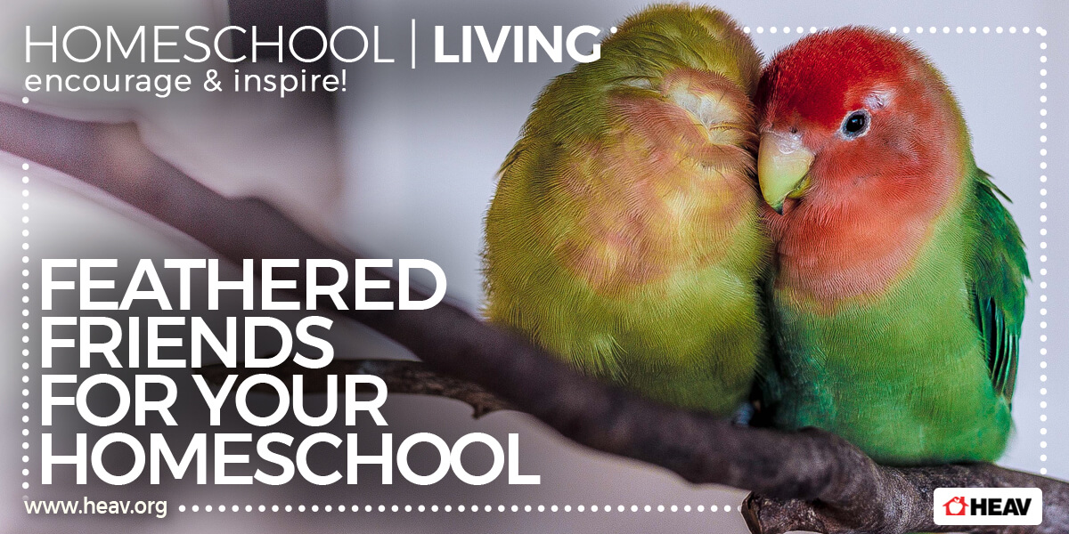 Feathered Friends - Homeschool Living Bird Studies