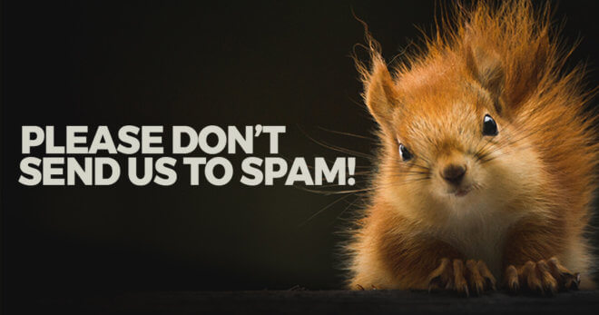 Please don't send us to spam-squirrel