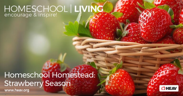 Homeschool Science Strawberry Season Strawberry Unit Study