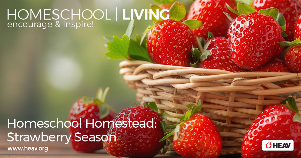 Homeschool Science Strawberry Season Strawberry Unit Study