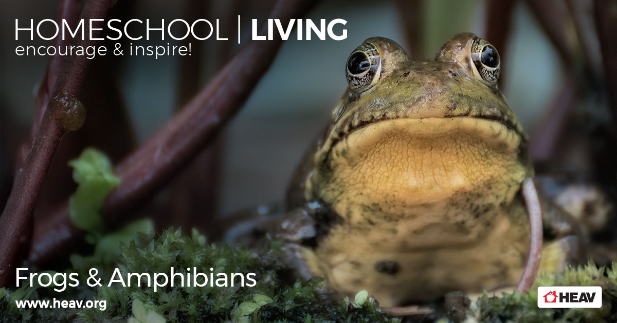 summer unit studies frogs and amphibians HSL