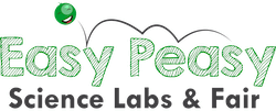Easy Peasy science labs & fair-logo