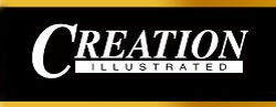 creation illustrated magazine-logo