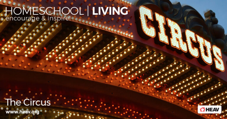 homeschooling fun circus