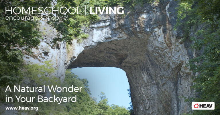 hands-on geology natural bridge