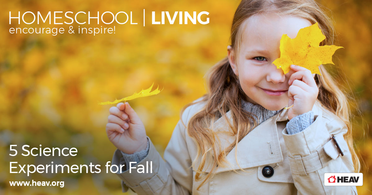fall Science Experiments for fall
