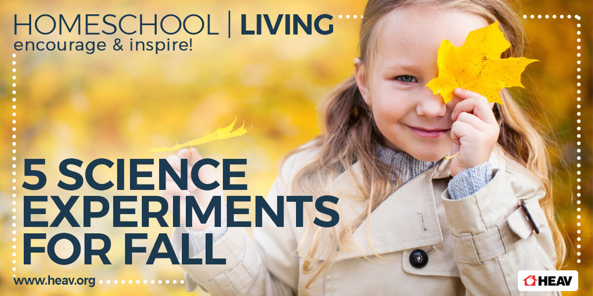 fall-science-experiments-home living