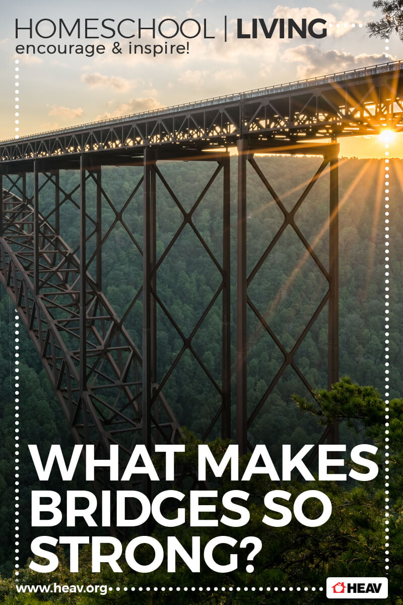 What Makes Strong Bridges? 1