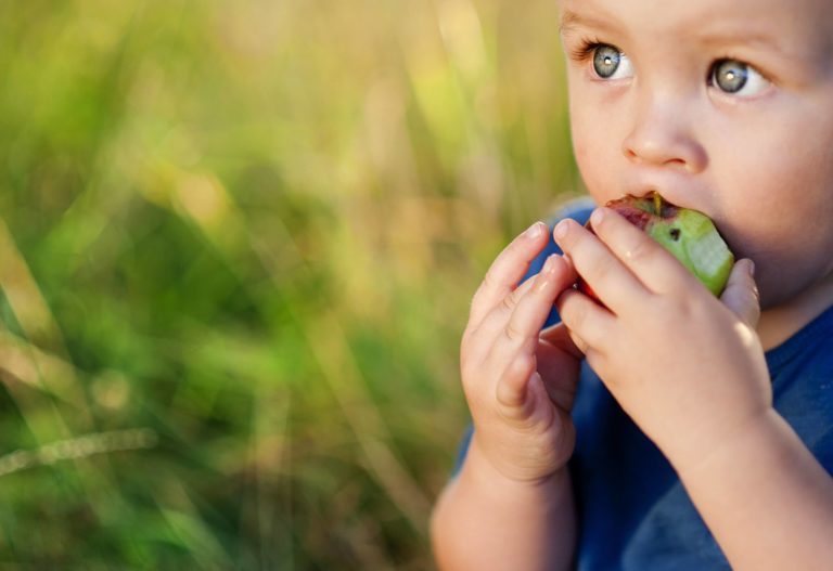 toddler eating apple learning while living