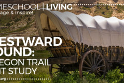 American History Oregon Trail Unit Study