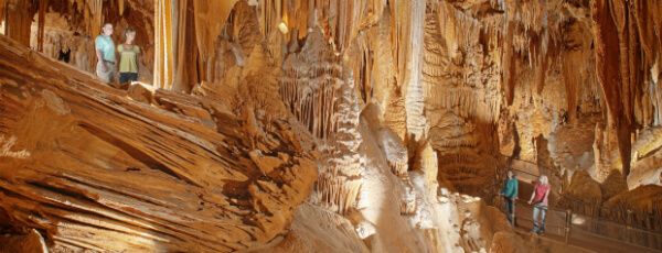 Homeschool Days - Luray-Caverns 600x230