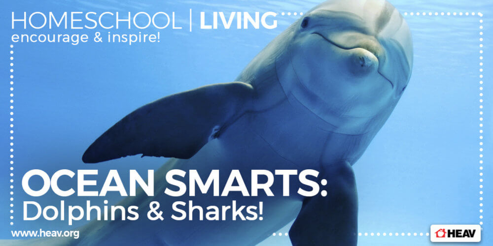 Sea Creatures Unit Study-Smarts-Homeschool-Living