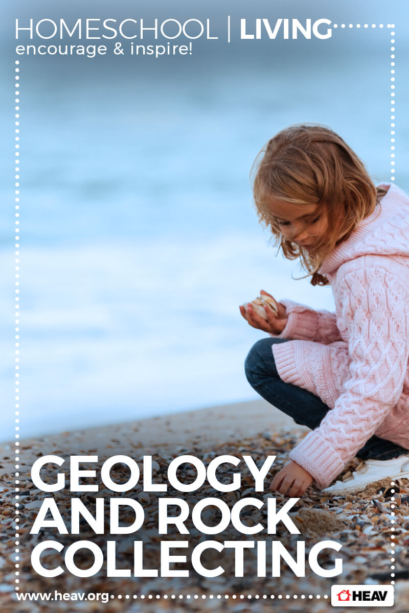 geology and rock collecting homeschool living 800x1200 1