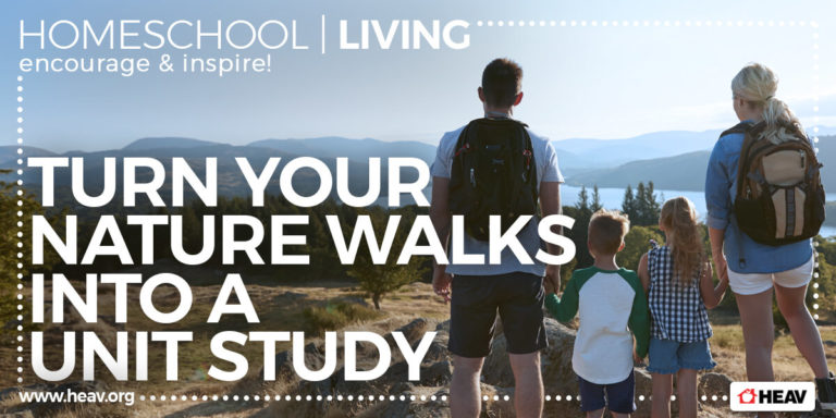 nature-walks-homeschool-living-homeschool family-family homeschool