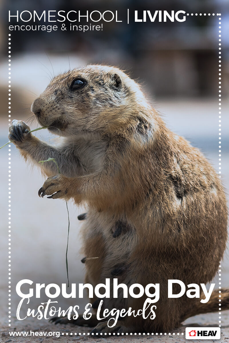 Groundhog-Day-homeschool-living