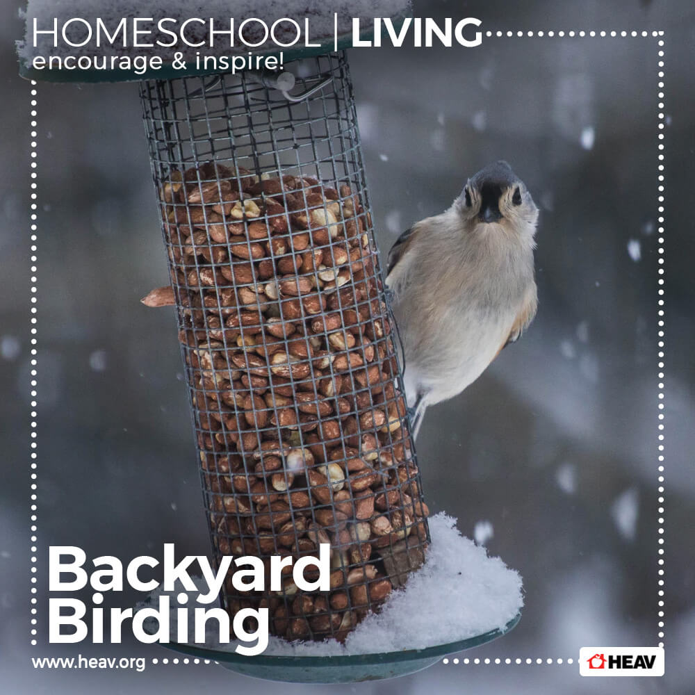birding-homeschool-living