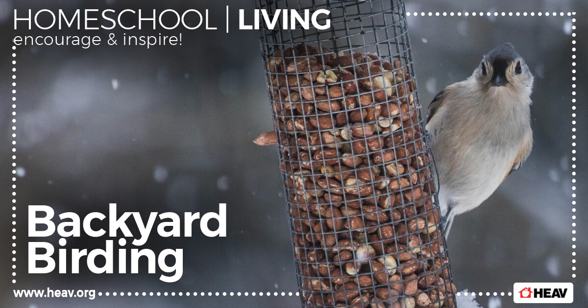 Backyard-Birding