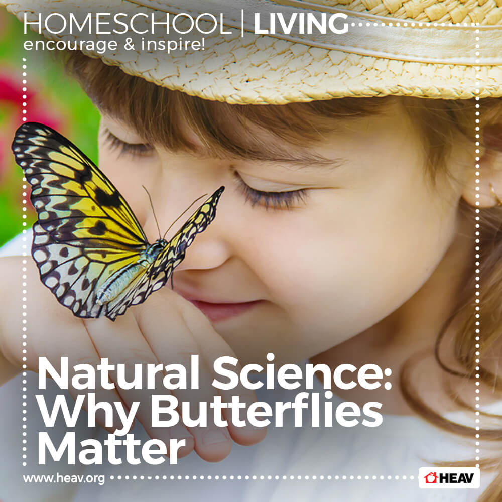Why Butterflies Matter homeschool living 1000x1000 1