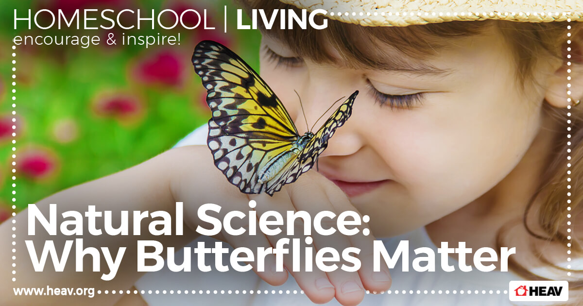 Butterfly-unit-study-homeschool-living