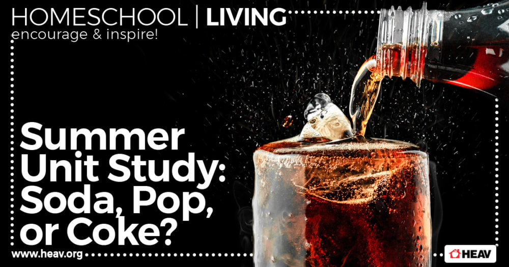 summer - unit study - soda