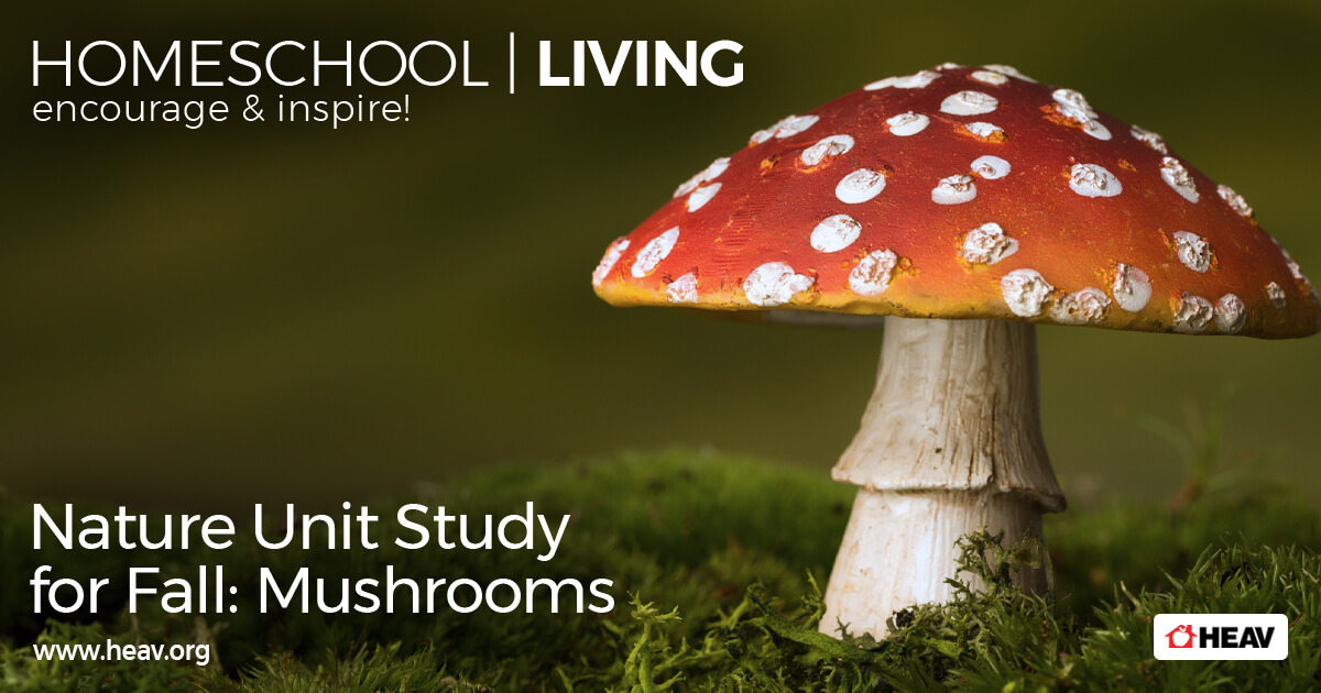 Nature Unit Study for Fall-Mushrooms-homeschool-living