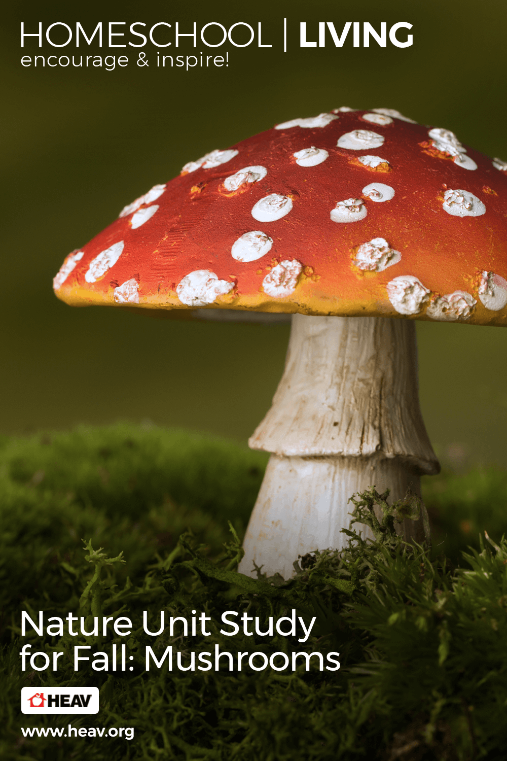 Nature Unit Study for Fall Mushrooms homeschool living pinterest