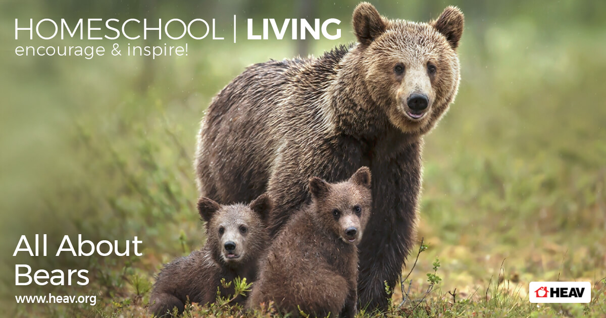 bears-homeschool-living