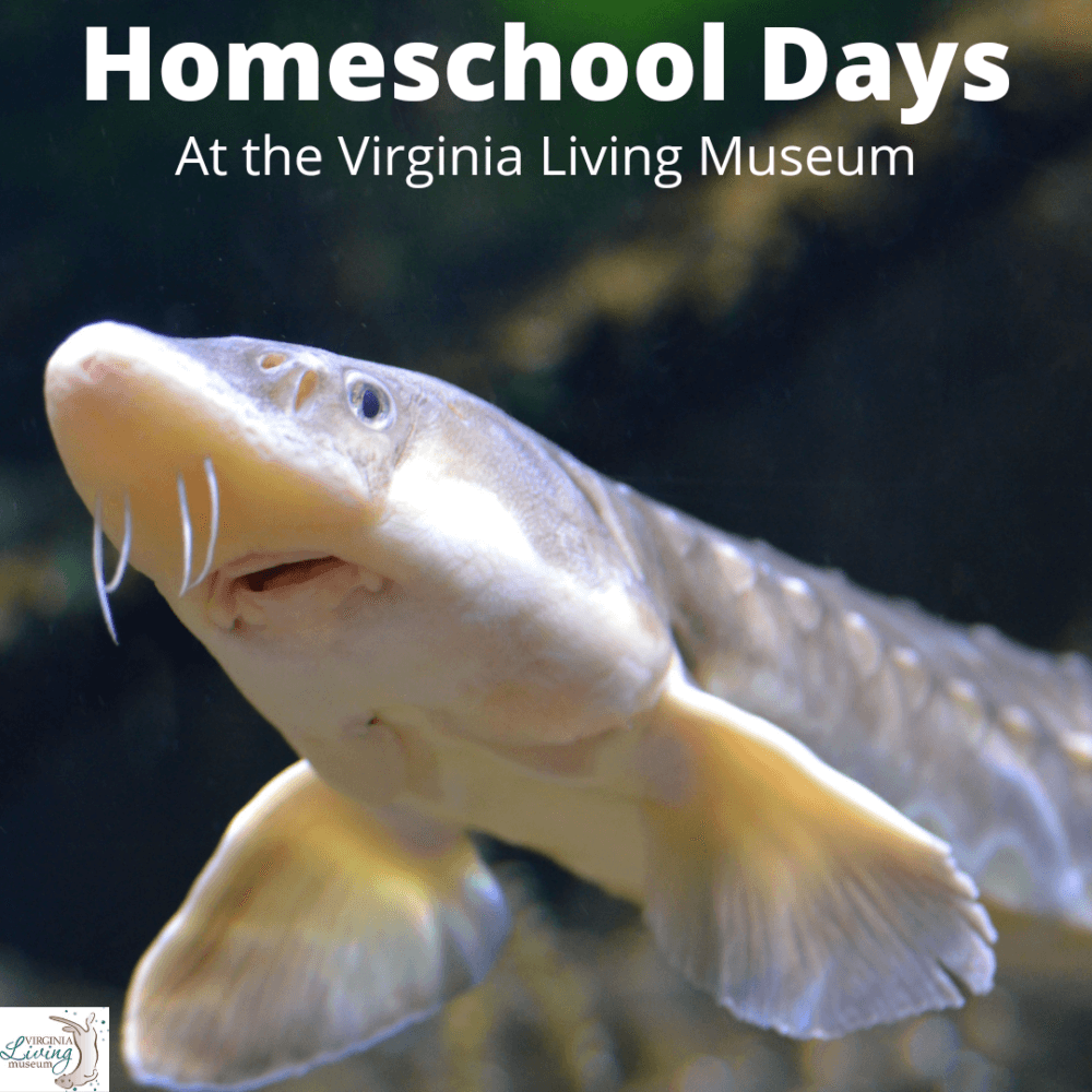 Virginia-Living-Museum