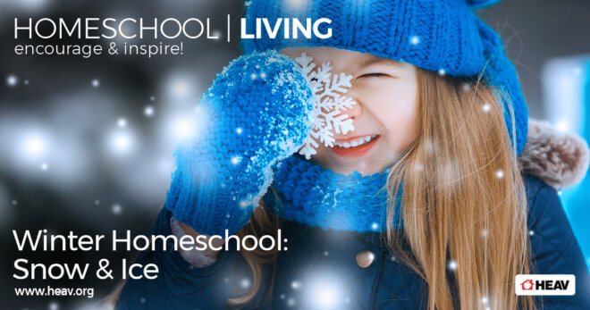 Winter Homeschool Snow Ice Flakes