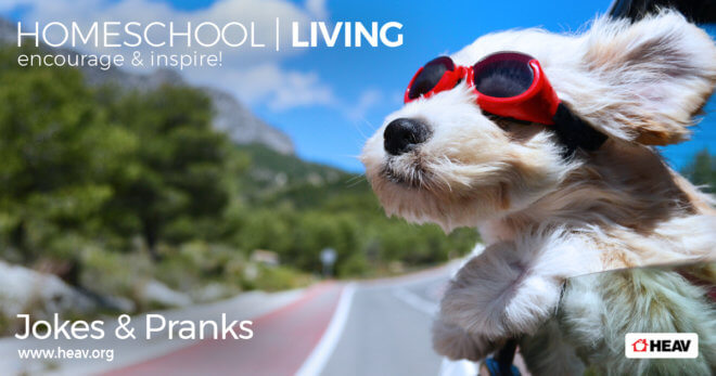 fun-at-home-activities-dogs-april-fools-day