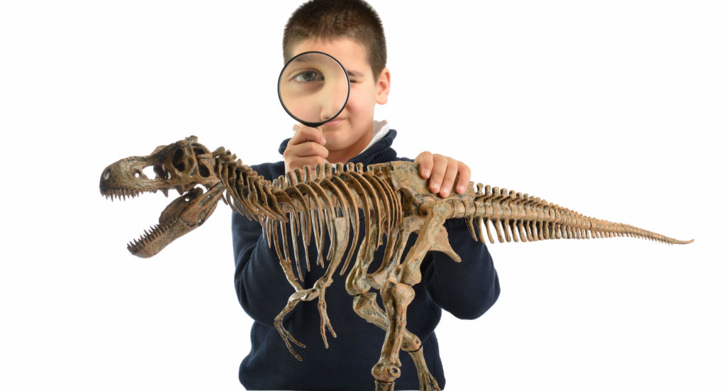 HandsOn Science Lab Home Educators Association Of Virginia