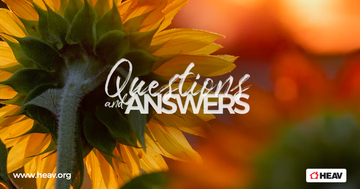 Q&A