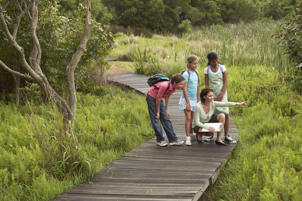 travel school field trips 1