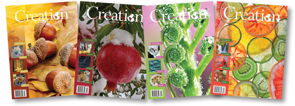 Creation Magazine Covers