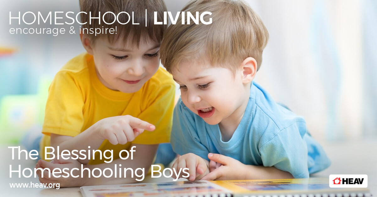 homeschooling-boys-sons