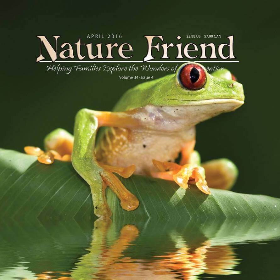 vendor23 - Nature Friend