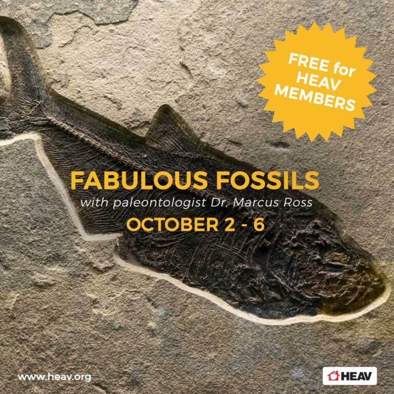 Fabulous Fossils