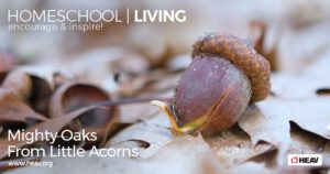 Mighty-Oaks-from-Little-Acorns-homeschool-living-email
