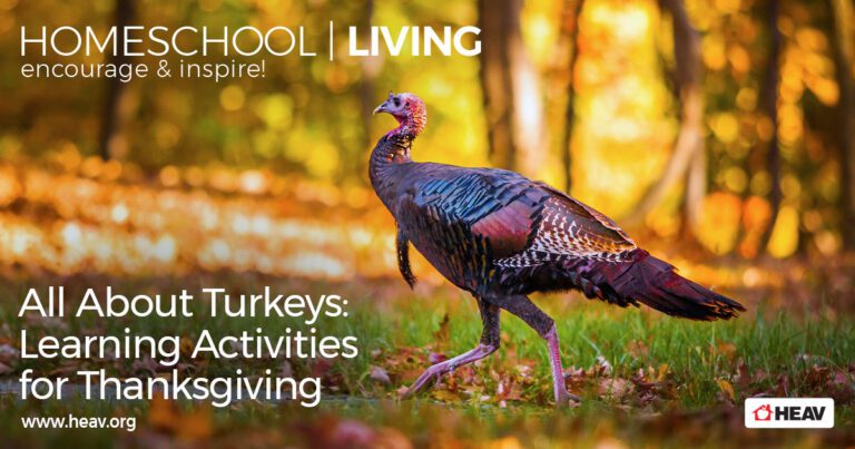 All-About-Turkeys-Learning-Activities-for-Thanksgiving-homeschool-living-email