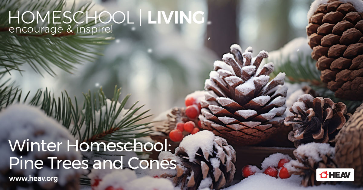 Winter Homeschool Pine Trees and Cones